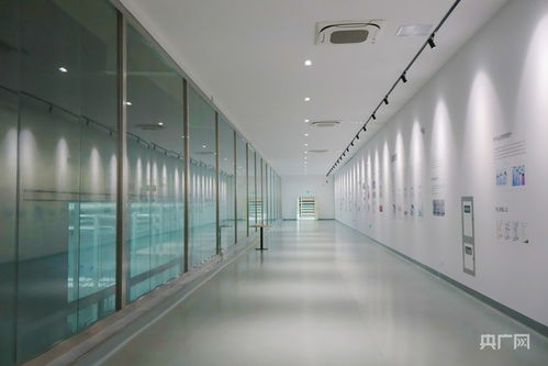 青聽經(jīng)濟(jì)之聲丨動能集聚添活力 西引力澎湃升級 技術(shù)服務(wù)