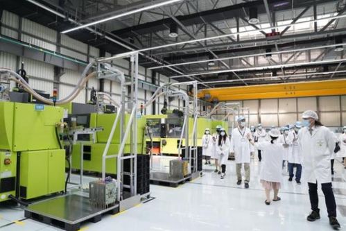 以質(zhì)量和嚴(yán)謹(jǐn)著稱的德企，為何落戶臨港經(jīng)濟(jì)技術(shù)開發(fā)區(qū)？