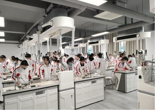 專業(yè)理化生實(shí)驗(yàn)室整體解決方案 服務(wù)全國(guó)的技術(shù)與設(shè)備供應(yīng)商